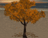 Autumn Leaves Tree