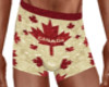 Canada boxer