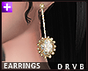 â¨Earrings DRVB