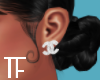 T. CC Earrings