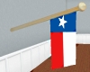 FF~ Texas Flag