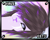 [PETS] Sova | hair v2
