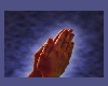 Praying Hands