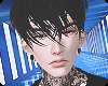 Hz. Grey Hair 1/2