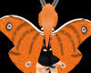 H! Moth wings v2