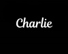 Charlie Necklace/F