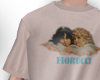 FIORUCCI.