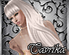 *T* platinum Blonde Tany