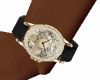 CDI Watches v15