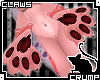 [C] Sorbet large claws