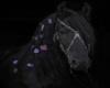 black horse rug 2