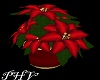 PHV Christmas Poinsettia