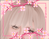 R. Bangs