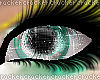      .techno.patched. c: