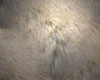 Mistic Fur Rug White