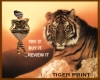 ~ifly~Tiger Print