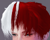 Shouto Hair Pt. 2