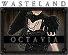 🅳 Octavia Bundle