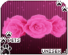 [Pets] Nia | ankle roses