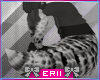 :Erii: Yeti Tail V.2