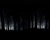 Super Dark Forest Room