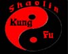 shaolin kung fu Tee