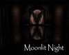 AV Moonlit Night