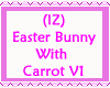 Easter Bunny wCarrot v1