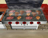 Food on Grill w/sound