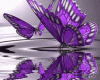 Violet Butterflies M/F