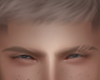 Blond Brows Al
