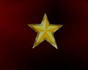 Gold Star Marker