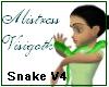 Snake V4
