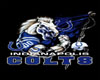 {SS} Indy Colts Pic 7