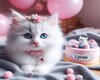 Kitten Ballons