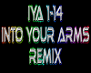 Into Your Arms rmx