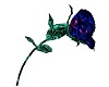 Blue Purple Tin Rose