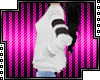 WB Colorblock Sweater