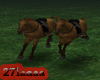 [27laaaa]Horse Riding