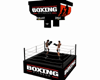 boxing ring 