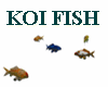 KOI FISH ANIMATED