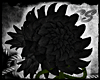 [SS] Black Lotus Flower