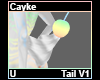 Cayke Tail V1