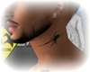 SPIDER. neck