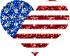 U.S.A Heart