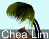 Chea Lim Hair02 06