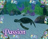 P- Mermaid Turtle Ride