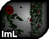 lmL Midnight Rose Vine 2