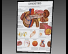 MJs Medical Chart 1