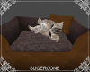 [SC] Cat Bed ~ Brown